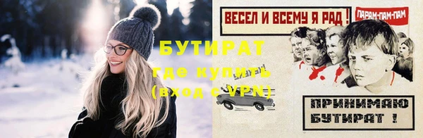 индика Волосово