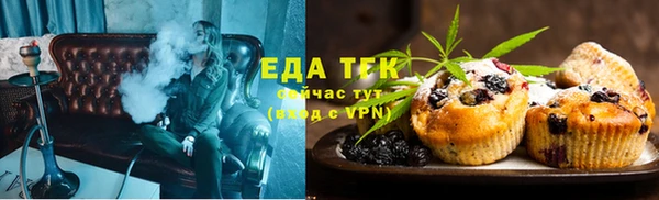 индика Волосово