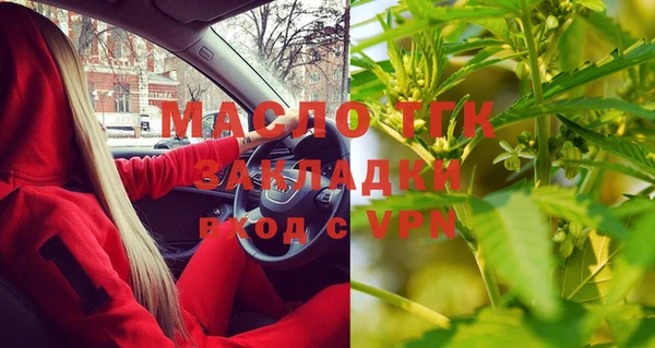 индика Волосово