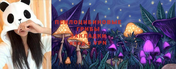 ешки Володарск